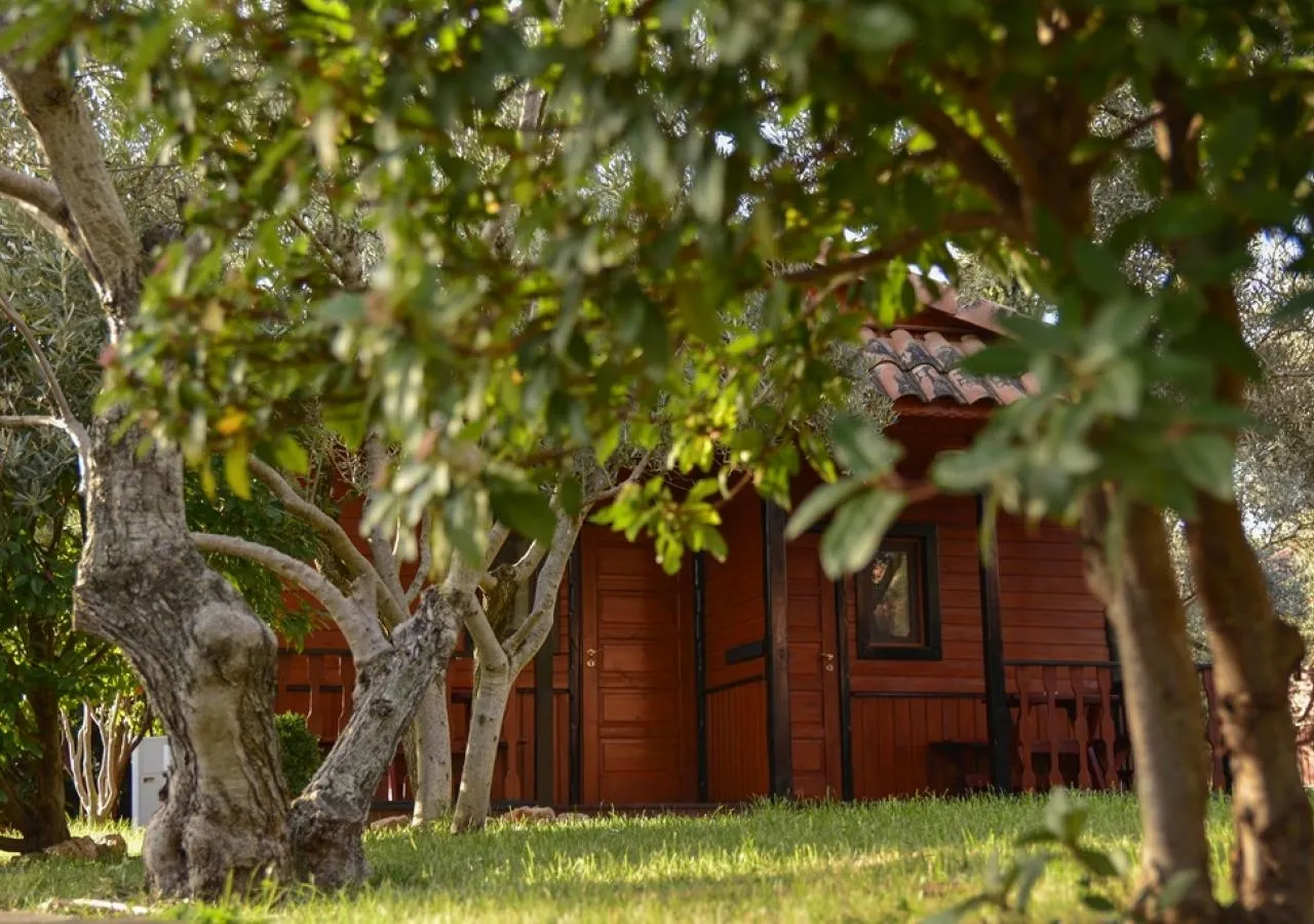 Bungalow